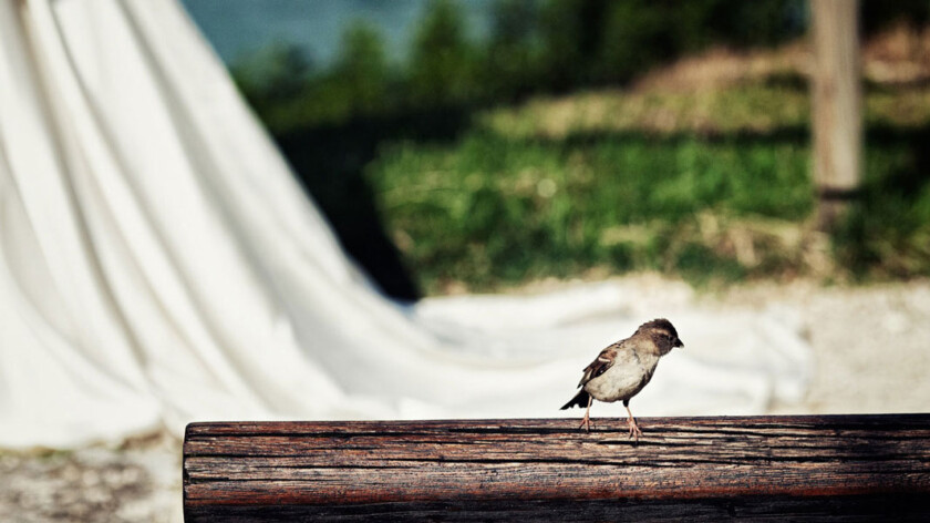 wedding_photographer_garda_lake_0026